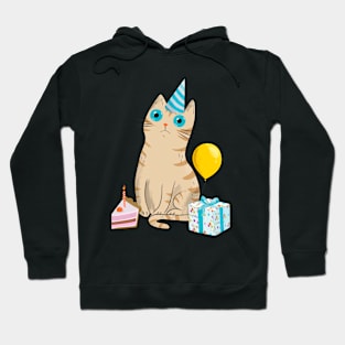 Intense Gaze Birthday Cat Hoodie